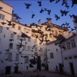 Plazas del centro, a pasos de su hotel en Coimbra